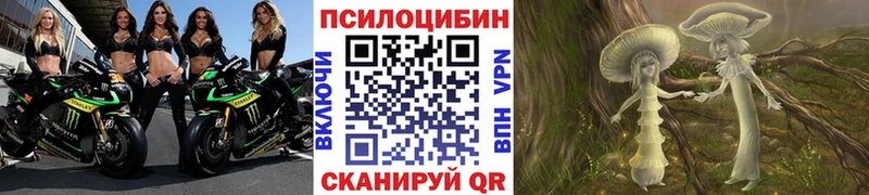 ОМГ ОМГ ССЫЛКА  сколько стоит  Плавск  Галлюциногенные грибы Magic Shrooms 